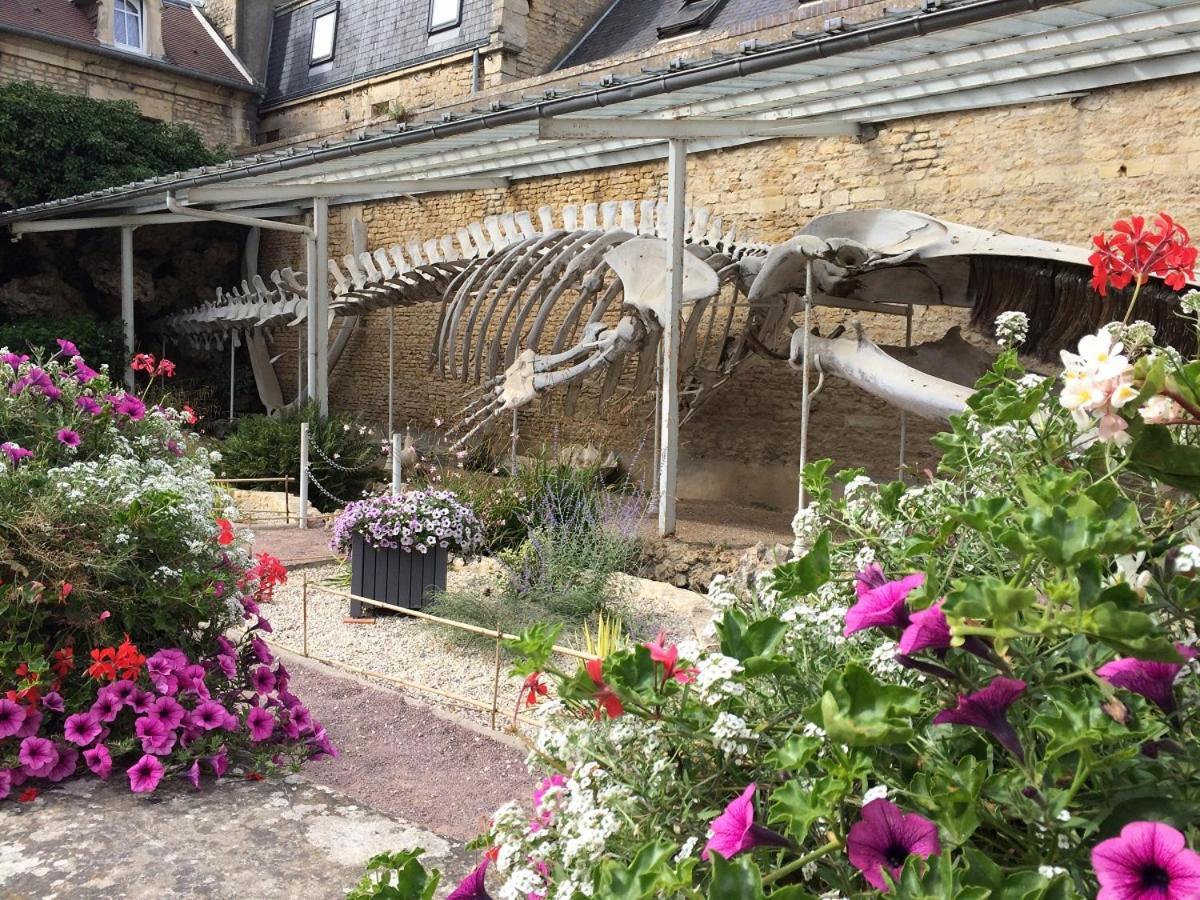 Le Caprice De La - Maison Avec Veranda, Jardin * Luc-sur-Mer